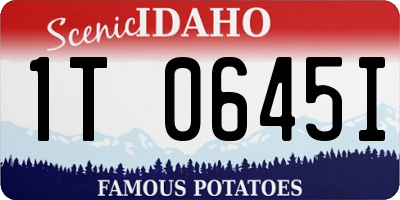 ID license plate 1T0645I