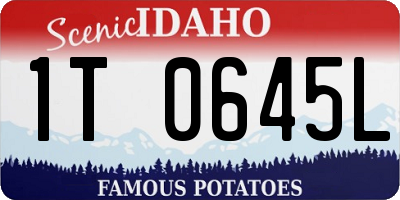 ID license plate 1T0645L