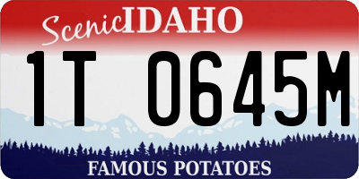ID license plate 1T0645M