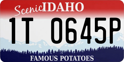 ID license plate 1T0645P