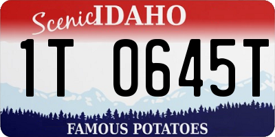 ID license plate 1T0645T