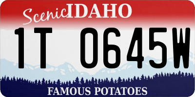 ID license plate 1T0645W