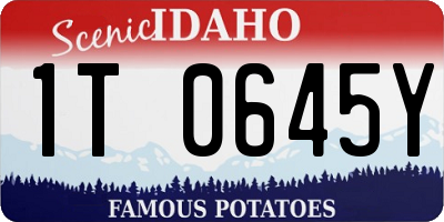 ID license plate 1T0645Y