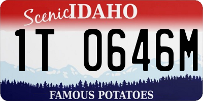 ID license plate 1T0646M