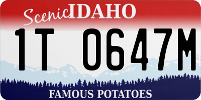 ID license plate 1T0647M