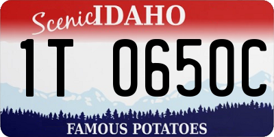 ID license plate 1T0650C