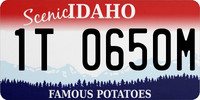 ID license plate 1T0650M
