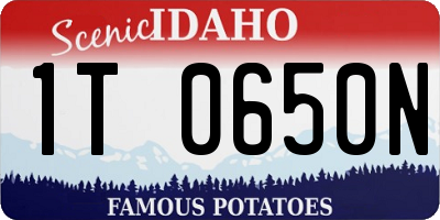 ID license plate 1T0650N