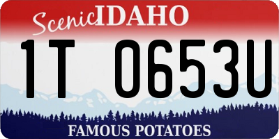 ID license plate 1T0653U