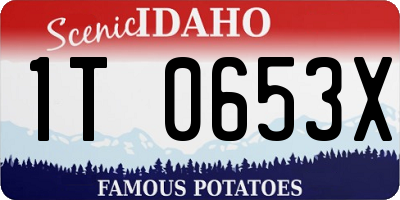 ID license plate 1T0653X