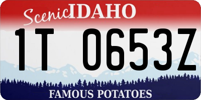ID license plate 1T0653Z