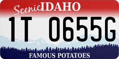 ID license plate 1T0655G