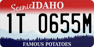 ID license plate 1T0655M