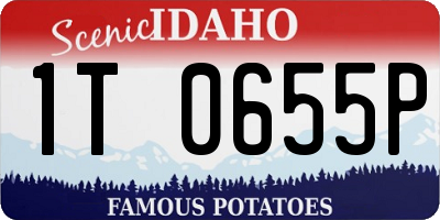 ID license plate 1T0655P