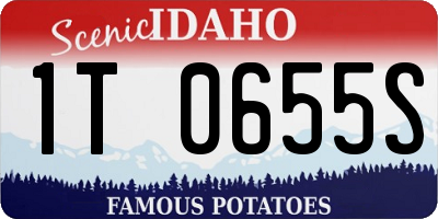 ID license plate 1T0655S