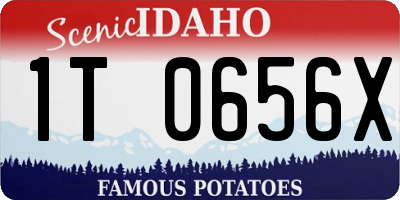 ID license plate 1T0656X