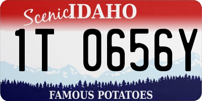 ID license plate 1T0656Y