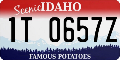ID license plate 1T0657Z