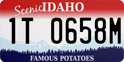 ID license plate 1T0658M