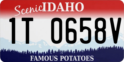 ID license plate 1T0658V