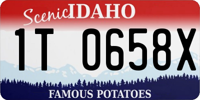 ID license plate 1T0658X