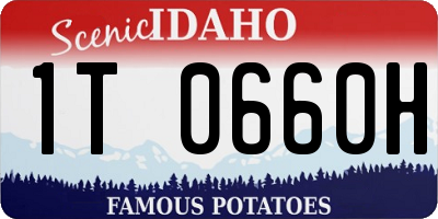 ID license plate 1T0660H