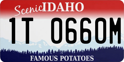 ID license plate 1T0660M