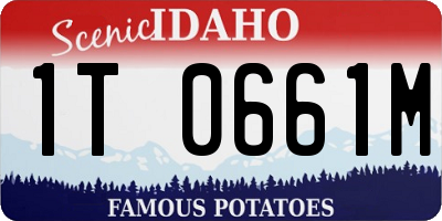 ID license plate 1T0661M