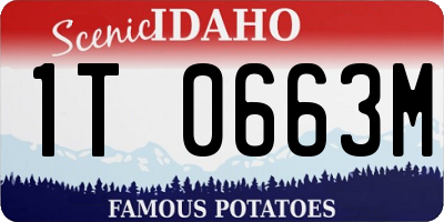 ID license plate 1T0663M