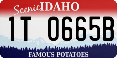 ID license plate 1T0665B