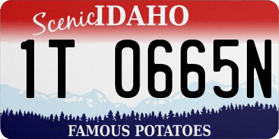 ID license plate 1T0665N