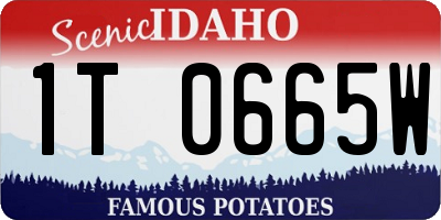 ID license plate 1T0665W