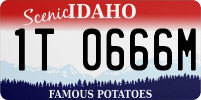 ID license plate 1T0666M