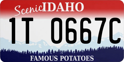 ID license plate 1T0667C