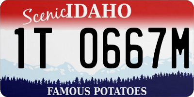 ID license plate 1T0667M