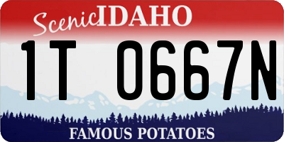 ID license plate 1T0667N
