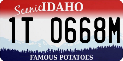 ID license plate 1T0668M