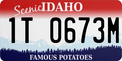 ID license plate 1T0673M