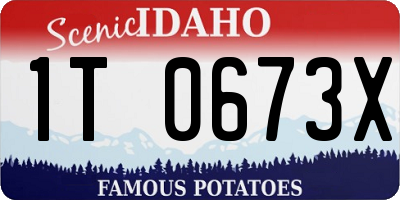 ID license plate 1T0673X