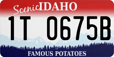 ID license plate 1T0675B