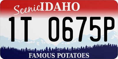 ID license plate 1T0675P