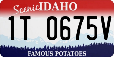 ID license plate 1T0675V