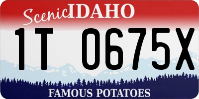 ID license plate 1T0675X