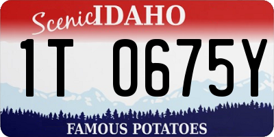 ID license plate 1T0675Y