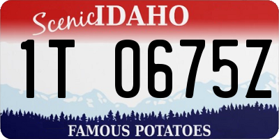ID license plate 1T0675Z