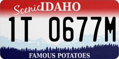ID license plate 1T0677M
