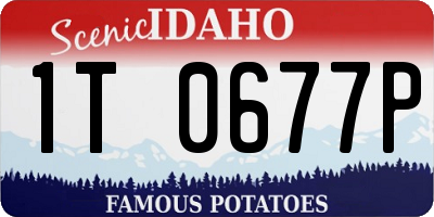 ID license plate 1T0677P