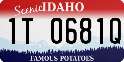 ID license plate 1T0681Q