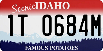 ID license plate 1T0684M