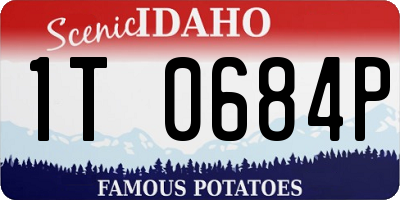 ID license plate 1T0684P